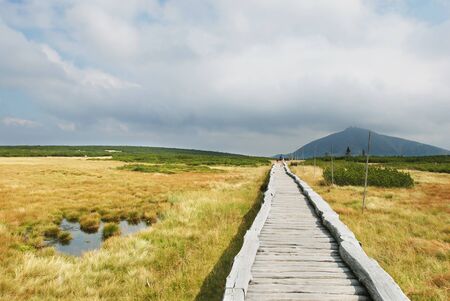 Trekking in Krkonose mountains, national park, Czech republicの写真素材