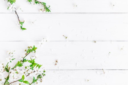 Spring flowers. Apple flowers on white wooden background. Flat lay, top viewの写真素材