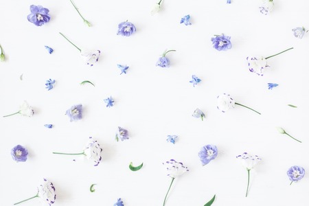 Floral composition. Frame made of lilac flowers. Flat lay, top viewの写真素材