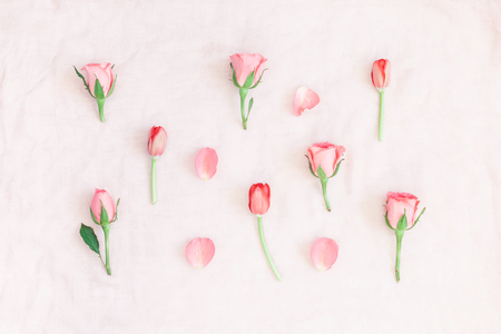 Rose flowers and tulip on pink background. Flat lay, top viewの写真素材