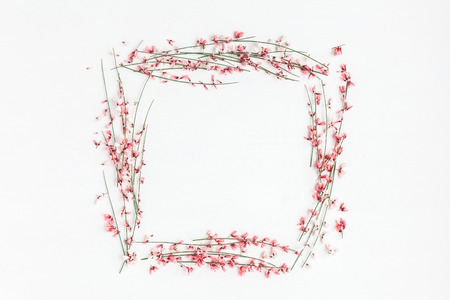 Flowers composition. Frame made of pink flowers on white background. Easter, spring concept. Flat lay, top viewの写真素材