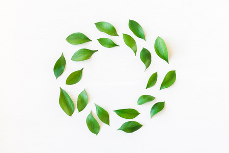 Frame made of green leaves. Leaf pattern. Flat lay, top viewの写真素材