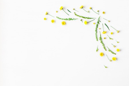 Flowers composition. Frame made of yellow flowers on white background. Flat lay, top viewの写真素材