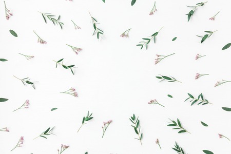 Flowers composition. Frame made of pink flowers and eucalyptus branches on white background. Flat...