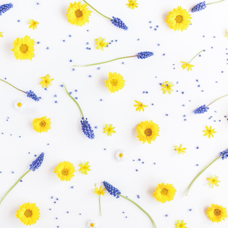 Flowers composition. Pattern made of muscari and chrysanthemum flowers on white background. Flat lay, top viewの写真素材