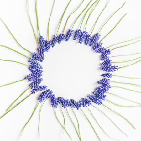 Flowers composition. Frame made of muscari flowers on white background. Flat lay, top viewの写真素材