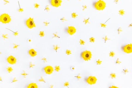Flowers composition. Pattern made of chrysanthemum flowers on white background. Flat lay, top viewの写真素材