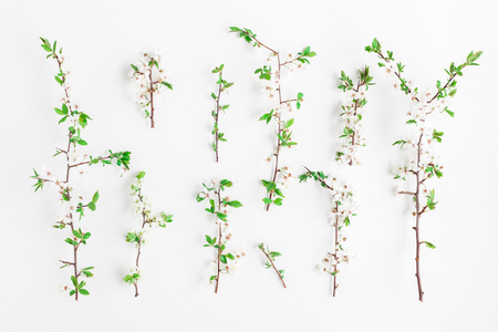 Flowers composition. Pattern made of apple tree flowers on white background. Flat lay, top viewの写真素材