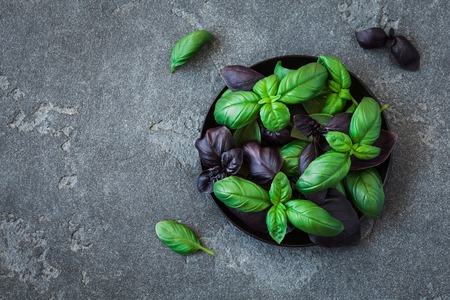 Basil in the plate. Fresh different basil on black background. Flat lay, top viewの写真素材