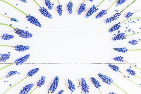 Flowers composition. Frame made of muscari flowers on white background. Flat lay, top viewの写真素材