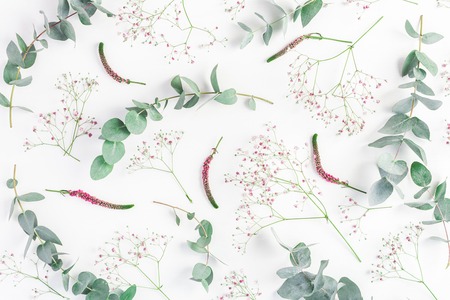 Flowers composition. Abstract pattern made of pink gypsophila flowers and eucalyptus branches on white background. Flat lay, top viewの写真素材
