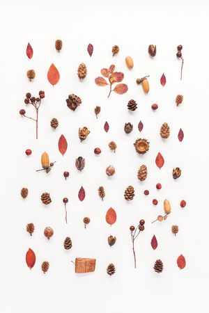 Autumn composition. Pattern made of autumn leaves, acorn, pine cones. Flat lay, top viewの写真素材