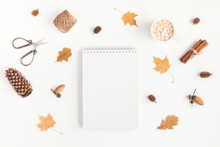 Autumn composition. Cup of coffee, notebook, autumn leaves on white background. Flat lay, top view.の写真素材