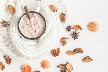 Autumn. Hot chocolate, knitted blanket, dried flowers and autumn leaves. Top view, flat layの写真素材
