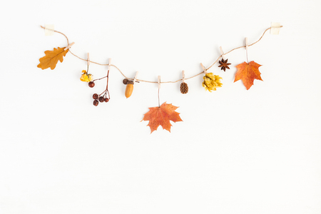 Autumn composition. Autumn flowers and leaves, acorn, pine cone, anise star. Flat lay, top view, copy spaceの写真素材