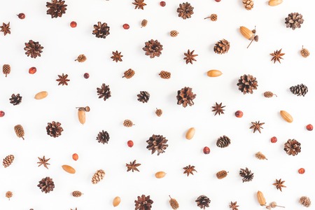 Autumn, winter composition. Pattern made of pine cones, acorns, anise stars. Flat lay, top viewの写真素材