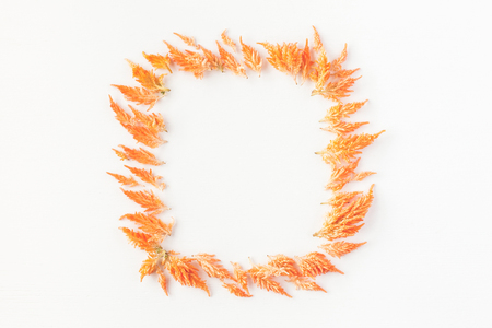 Autumn composition. Frame made of autumn flowers. Flat lay, top view, copy spaceの写真素材