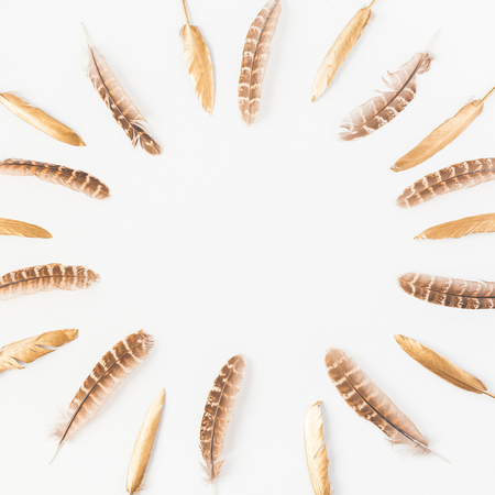 Frame made of golden bird feathers. Flat lay, top view, copy space, squareの写真素材