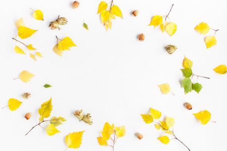 Autumn frame made of birch tree leaves, hazelnuts on white background. Autumn, fall concept. Flat lay, top view, copy spaceの写真素材