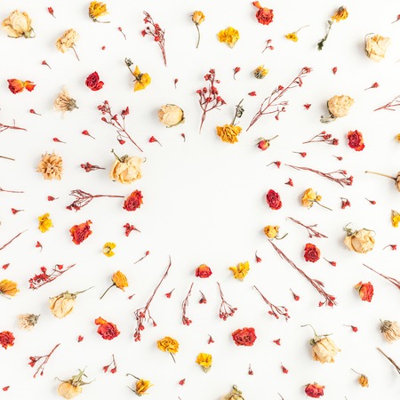 Autumn composition. Frame made of autumn dried flowers and leaves on white background. Flat lay, top view, copy space, squareの写真素材