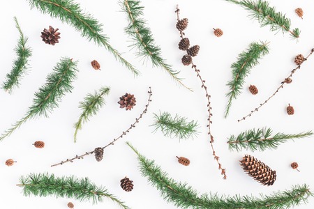 Christmas composition. Pattern made of larch branches on white. Christmas, winter, new year concept. Flat lay, top viewの写真素材