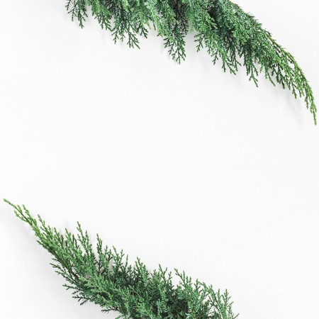 Christmas composition made of pine branches on white background. Christmas, winter, new year concept. Flat lay, top view, copy spaceの写真素材
