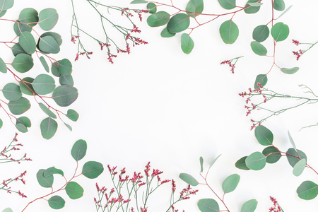 Flowers composition. Frame made of eucalyptus branches and pink flowers on white background. Flat lay, top view, copy spaceの写真素材