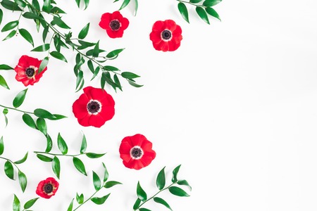 Flowers composition. Frame made of anemone flowers and ruscus leaves on white background. Flat lay, top view, copy spaceの写真素材
