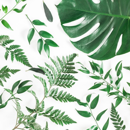 Leaf pattern. Green tropical leaves on white background. Flat lay, top view, square
