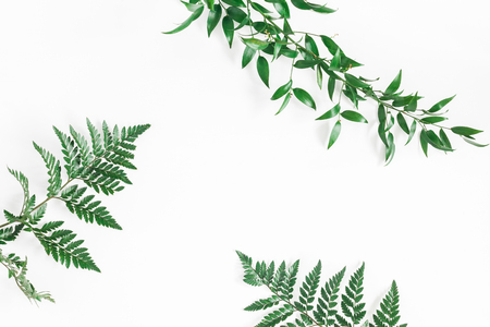 Leaf pattern. Green tropical leaves on white background. Flat lay, top view, copy spaceの写真素材