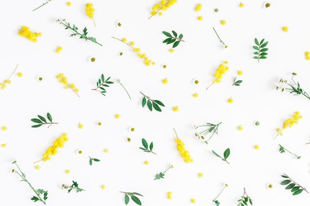 Flowers composition. Pattern made of fistachio leaves and yellow flowers on white background....