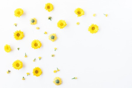 Flowers composition. frame made of yellow flowers on white background. Flat lay, top view, copy spaceの写真素材