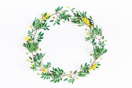 Flowers wreath. Pistachio leaves and mimosa flowers on white background. Flat lay, top view, copy spaceの写真素材