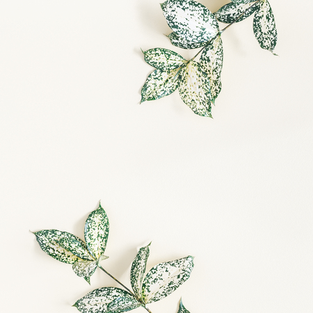 Leaf pattern. Tropical leaves on yellow background. Summer concept. Flat lay, top view, copy space, squareの写真素材