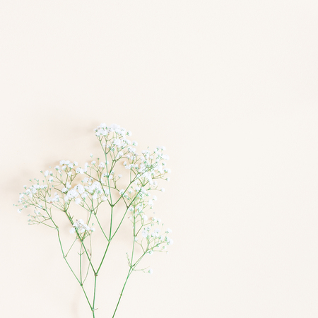 Flowers composition. Gypsophila flowers on yellow background. Flat lay, top view, copy space, squareの写真素材