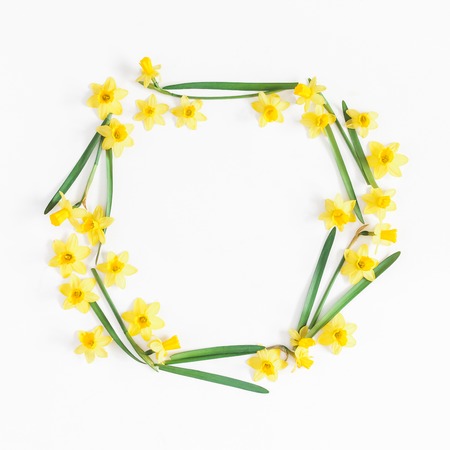 Flowers composition. Spring narcissus and tulip flowers on white background. Flat lay, top view, square, copy spaceの写真素材