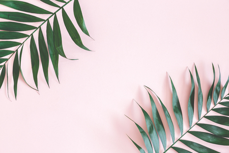 Tropical palm leaves on pastel pink background. Summer concept. Flat lay, top view, copy spaceの写真素材