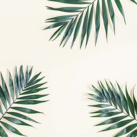 Leaf pattern. Green tropical leaves on yellow background. Summer concept. Flat lay, top view, copy space, squareの写真素材