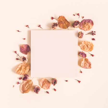 Autumn composition. Paper blank, dried flowers and leaves on pastel beige background. Autumn, fall concept. Flat lay, top view, copy space, squareの写真素材