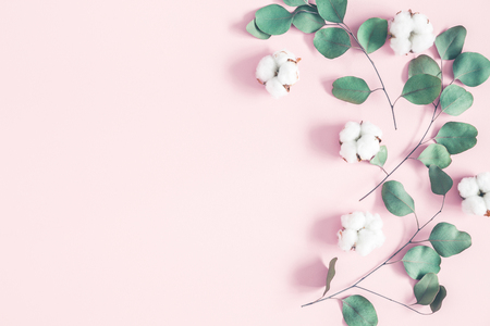 Eucalyptus leaves and cotton flowers on pastel pink background. Flat lay, top viewの写真素材
