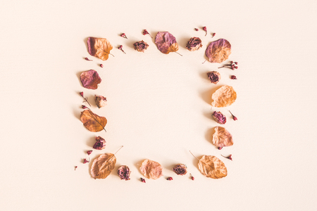 Autumn floral composition. Frame made of dried flowers and leaves on pastel beige background. Autumn, fall concept. Flat lay, top view, copy spaceの写真素材