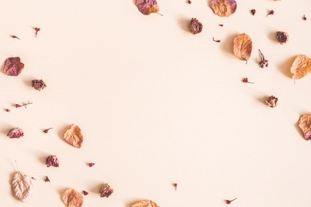 Autumn floral composition. Frame made of dried flowers and leaves on pastel beige background. Autumn, fall concept. Flat lay, top view, copy spaceの写真素材