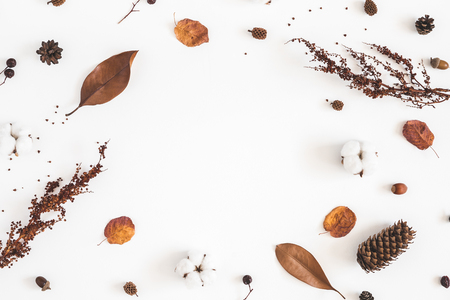 Autumn composition. Frame made of cotton flowers, dried leaves on white background. Autumn, fall concept. Flat lay, top view, copy spaceの写真素材