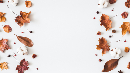 Autumn composition. Frame made of cotton flowers, dried maple leaves on pastel gray background. Autumn, fall concept. Flat lay, top view, copy spaceの写真素材