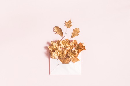 Autumn composition. Envelope with golden leaves on pastel pink background. Autumn, fall concept. Flat lay, top viewの写真素材