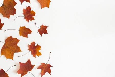 Autumn composition. Frame made of autumn dried leaves on white background. Flat lay, top view, copy spaceの写真素材