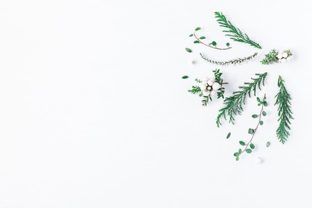Christmas composition. Frame made of winter plants, flowers, berries on white background. Christmas, winter, new year concept. Flat lay, top view, copy spaceの写真素材