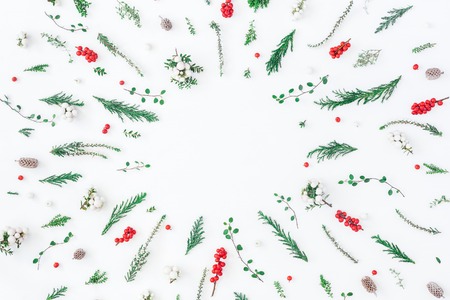 Christmas composition. Frame made of winter plants, flowers, berries on white background. Christmas,...