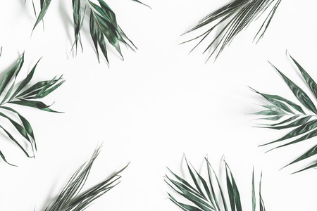 Green palm leaves on white background. Summer, nature concept. Flat lay, top view, copy spaceの写真素材