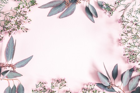 Flowers composition. Eucalyptus leaves and pink flowers on pastel pink background. Flat lay, top view, copy spaceの写真素材